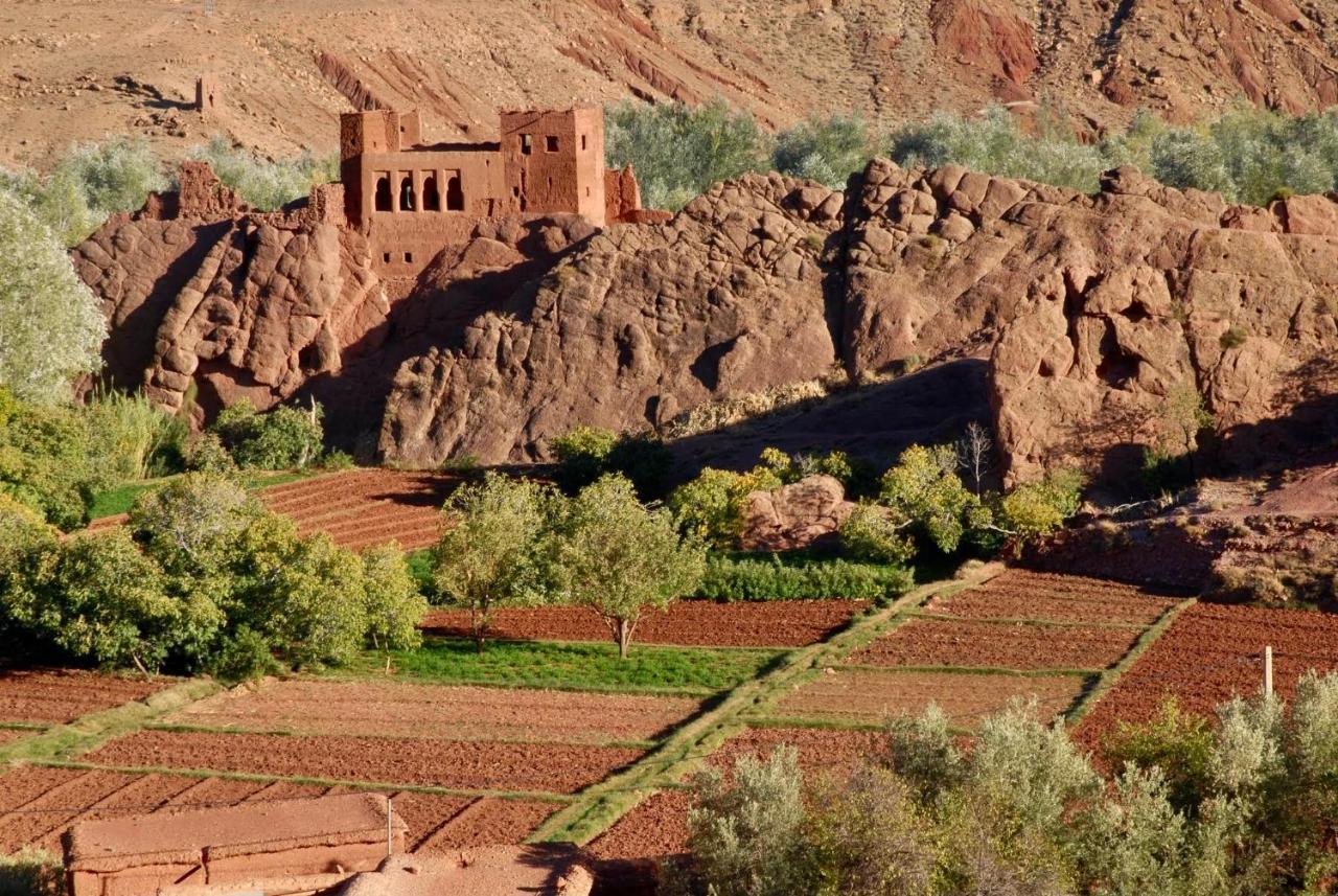 Bed and Breakfast Les 4 Saisons Du Dades Ait Idair Экстерьер фото